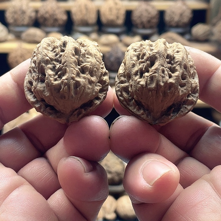 文玩核桃把件金蟾10