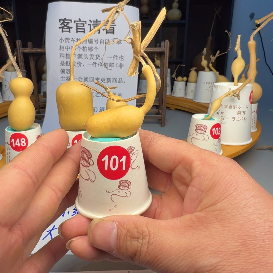 闪电购自助下单编号101