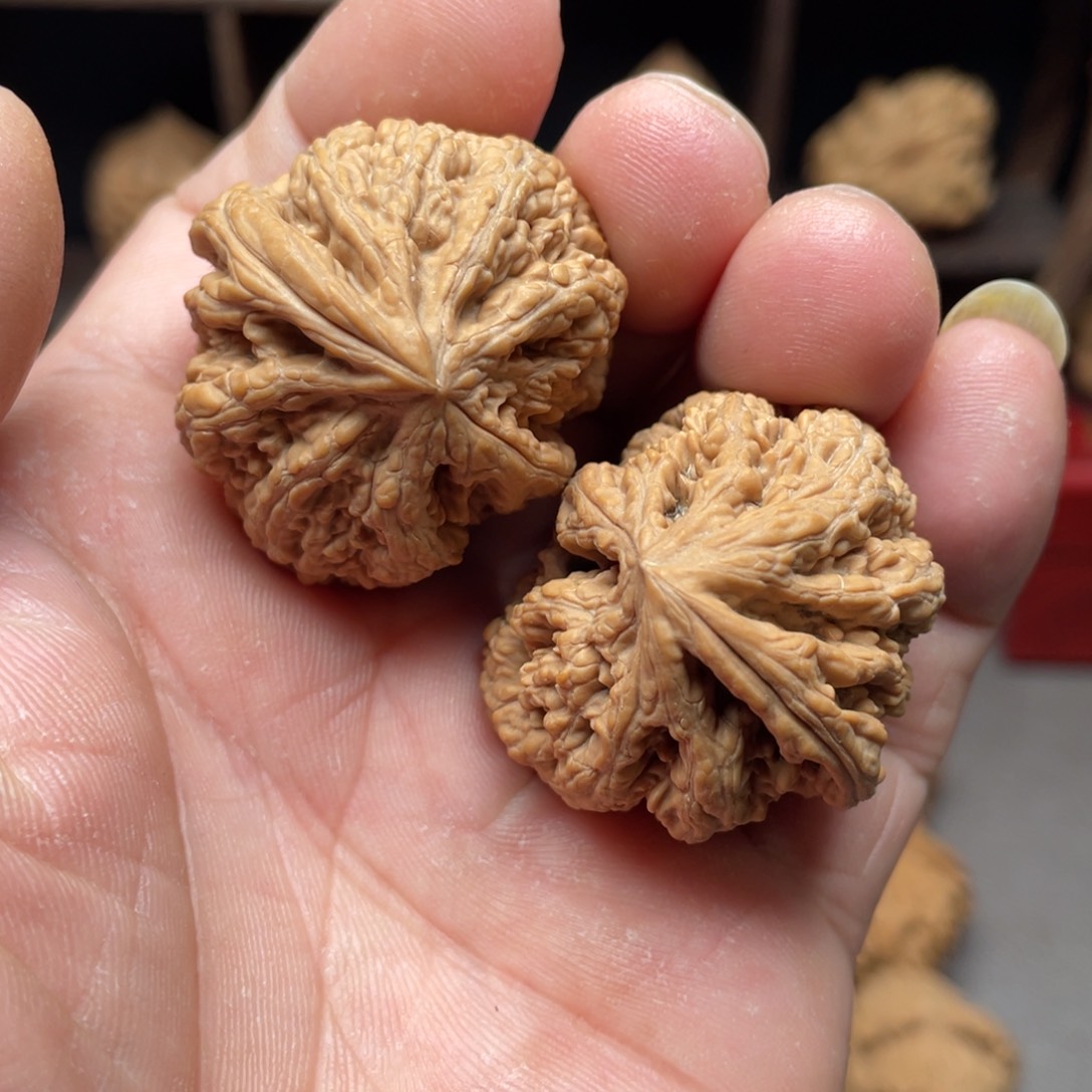 桃核把件肚38全品大粗筋