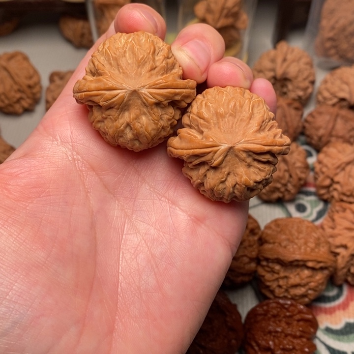 木质核老闷38全品