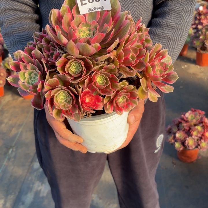 瑞妈，，，，。。。634男神