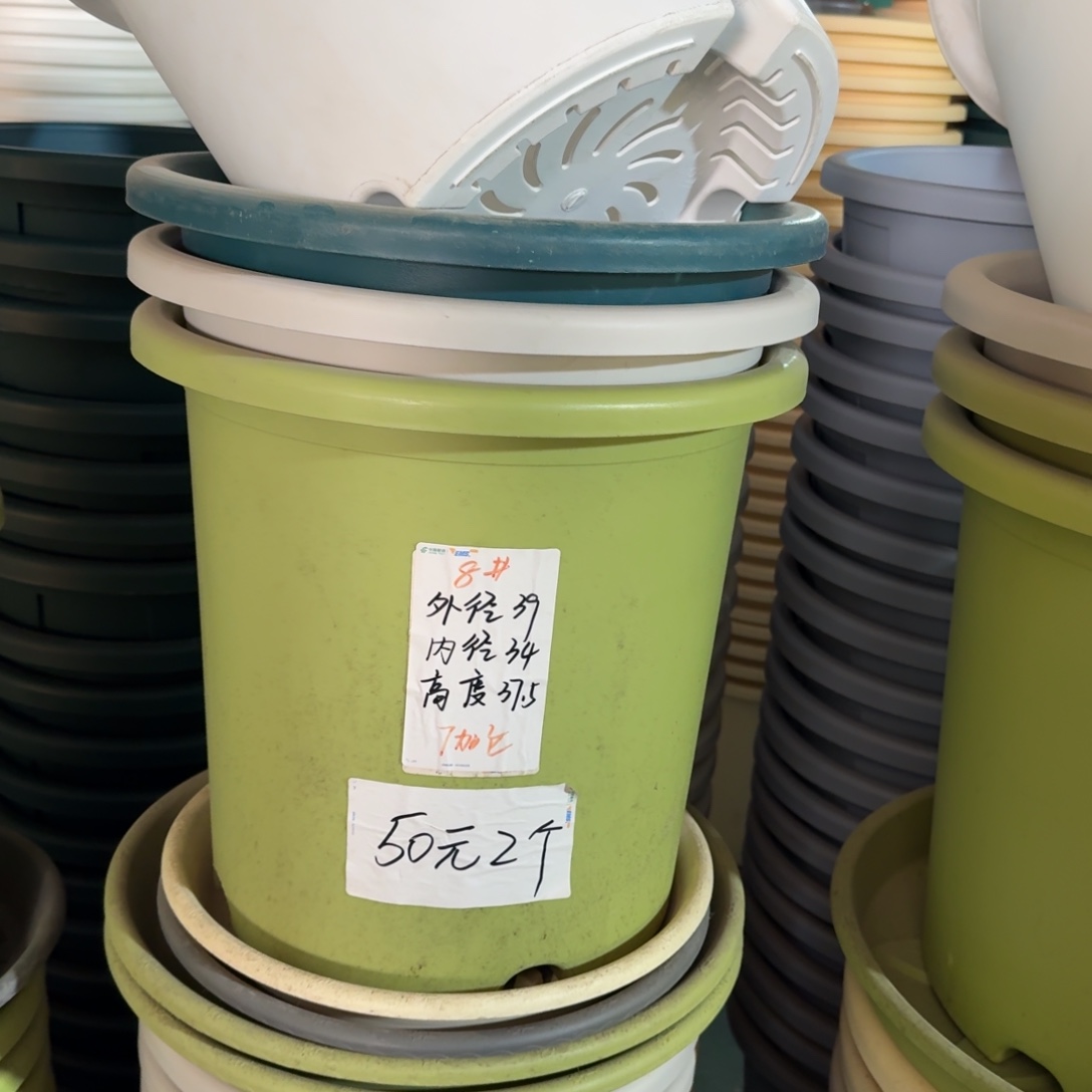 四季8#口径39高37无拖果绿3个