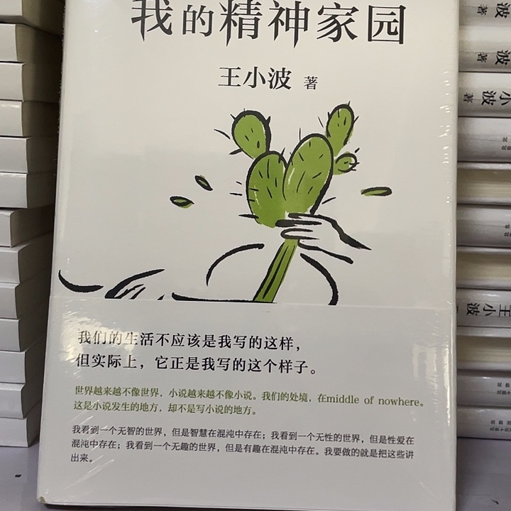 我的精神家园  精装带塑封