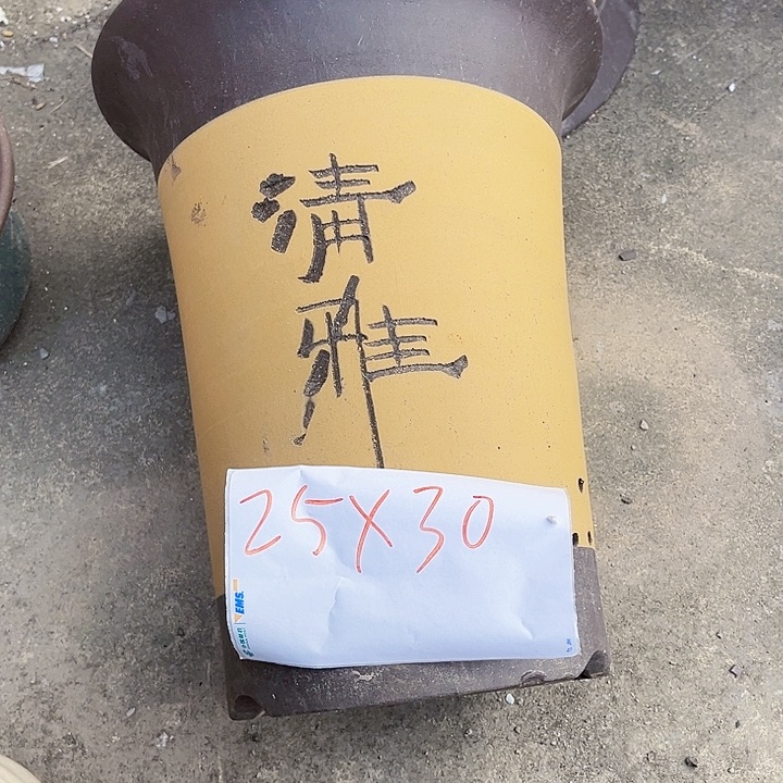 花盆紫砂11111111111