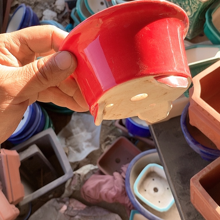 紫砂淘宝的时候买点便宜