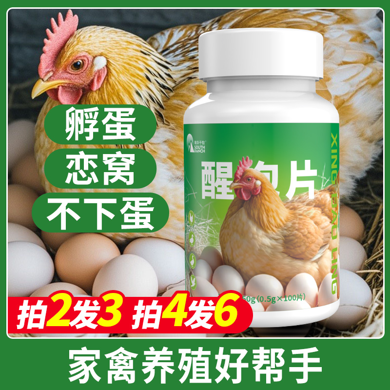 母鸡抱醒灵100片【多拍多送】 鸡鸭鹅鸽空抱孵蛋恋窝趴窝不下蛋养殖