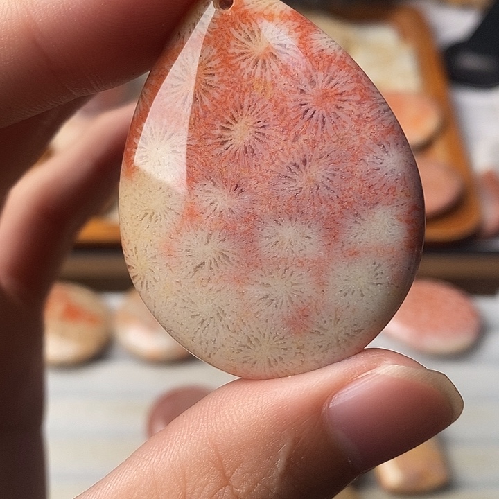 莉***苑硅化珊瑚未镶嵌颈饰