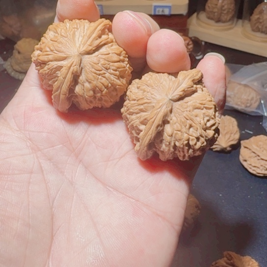 文玩核桃把件叫****好白狮子41