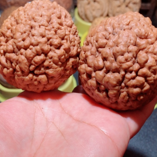 文玩核桃把件?*哥练手金刚菩提