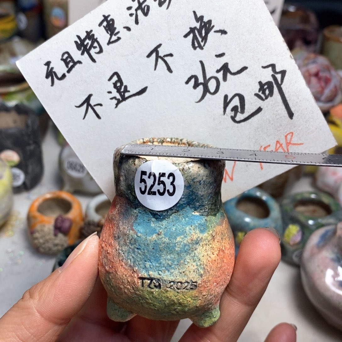 元旦特惠花盆不退不换的，原价28元