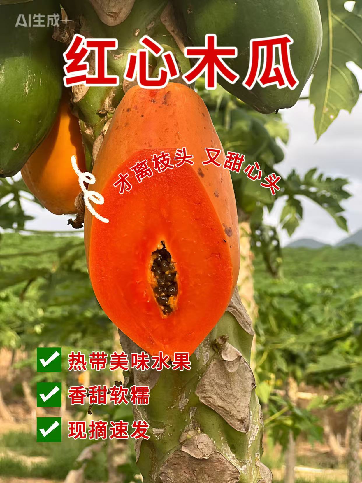 茂名树上熟冰糖心红心木瓜口感软糯香甜细腻孕妇水果多汁香甜