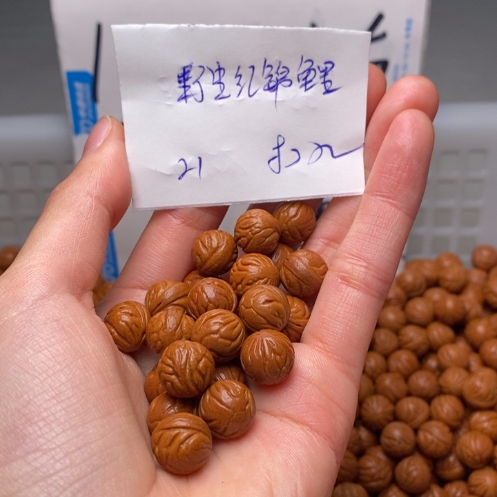 金***鹰手串桃核11mm左右野生红锦鲤21颗（打孔）