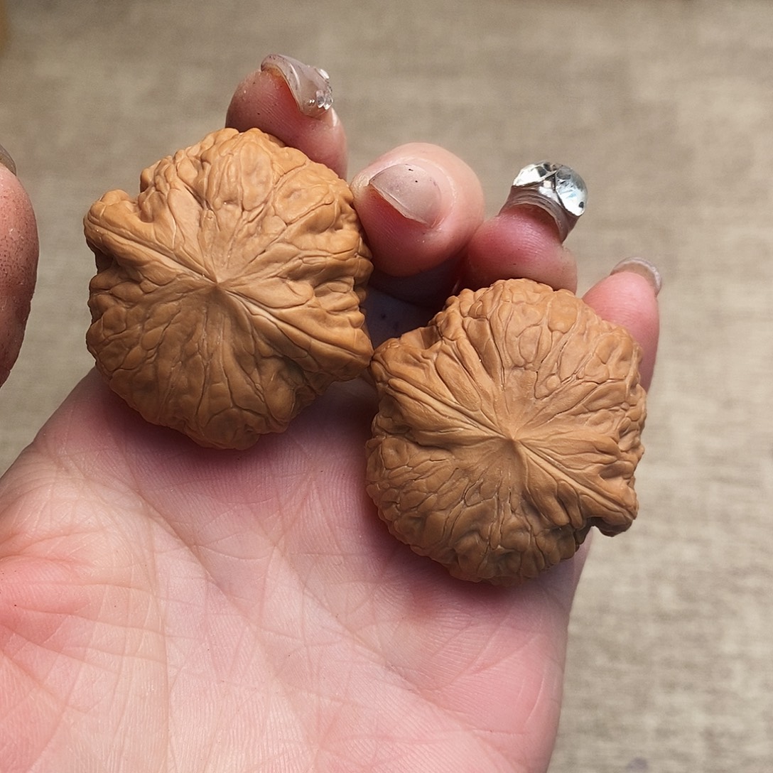 大叶紫檀（黑酸枝木类）