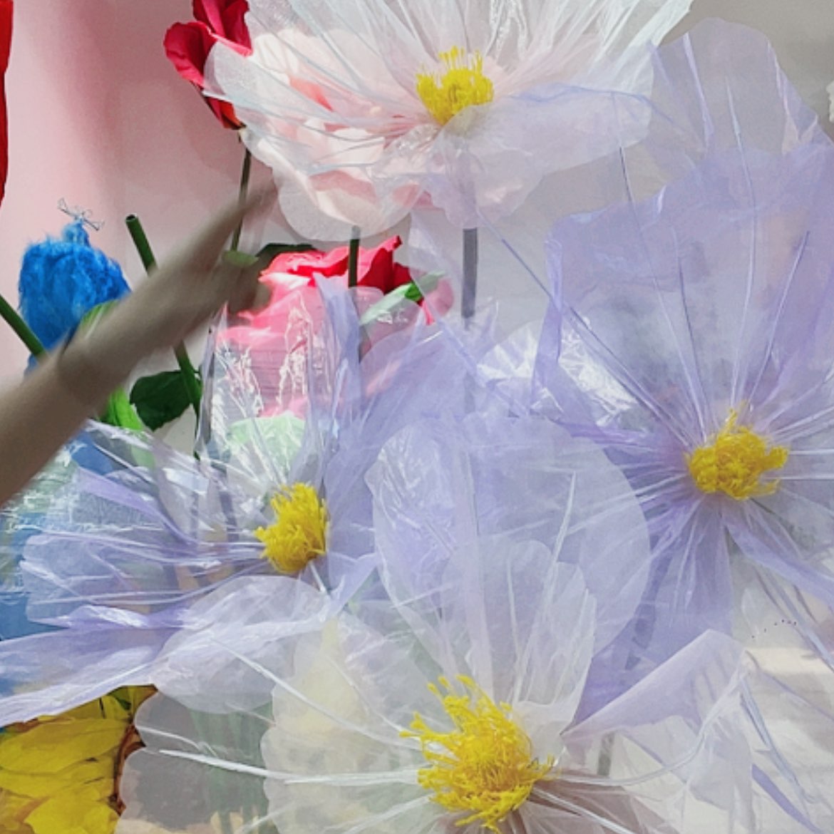 【闪购商品】一整套