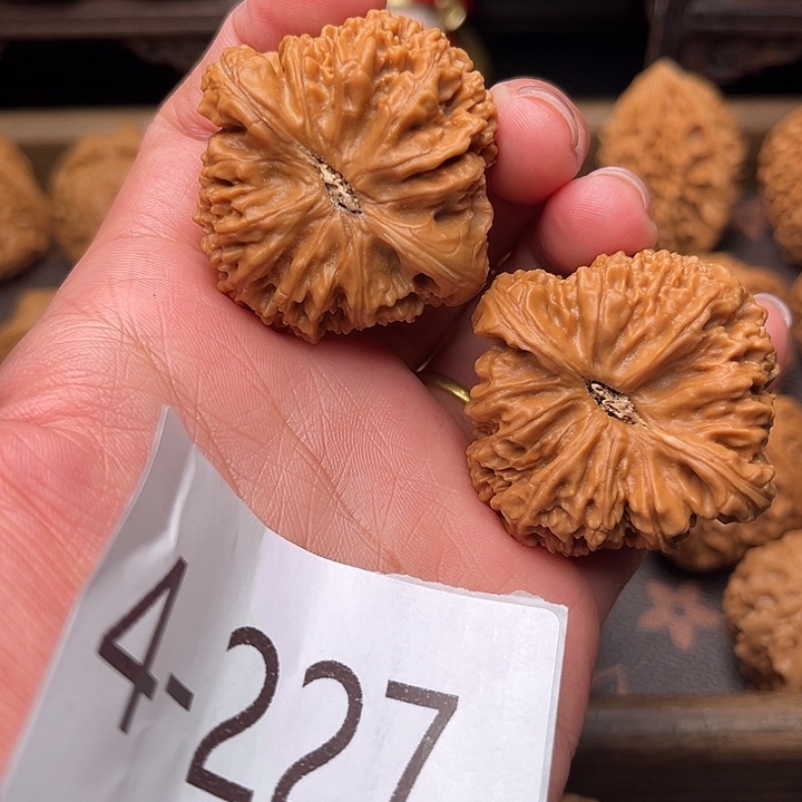 核桃41南疆石4227