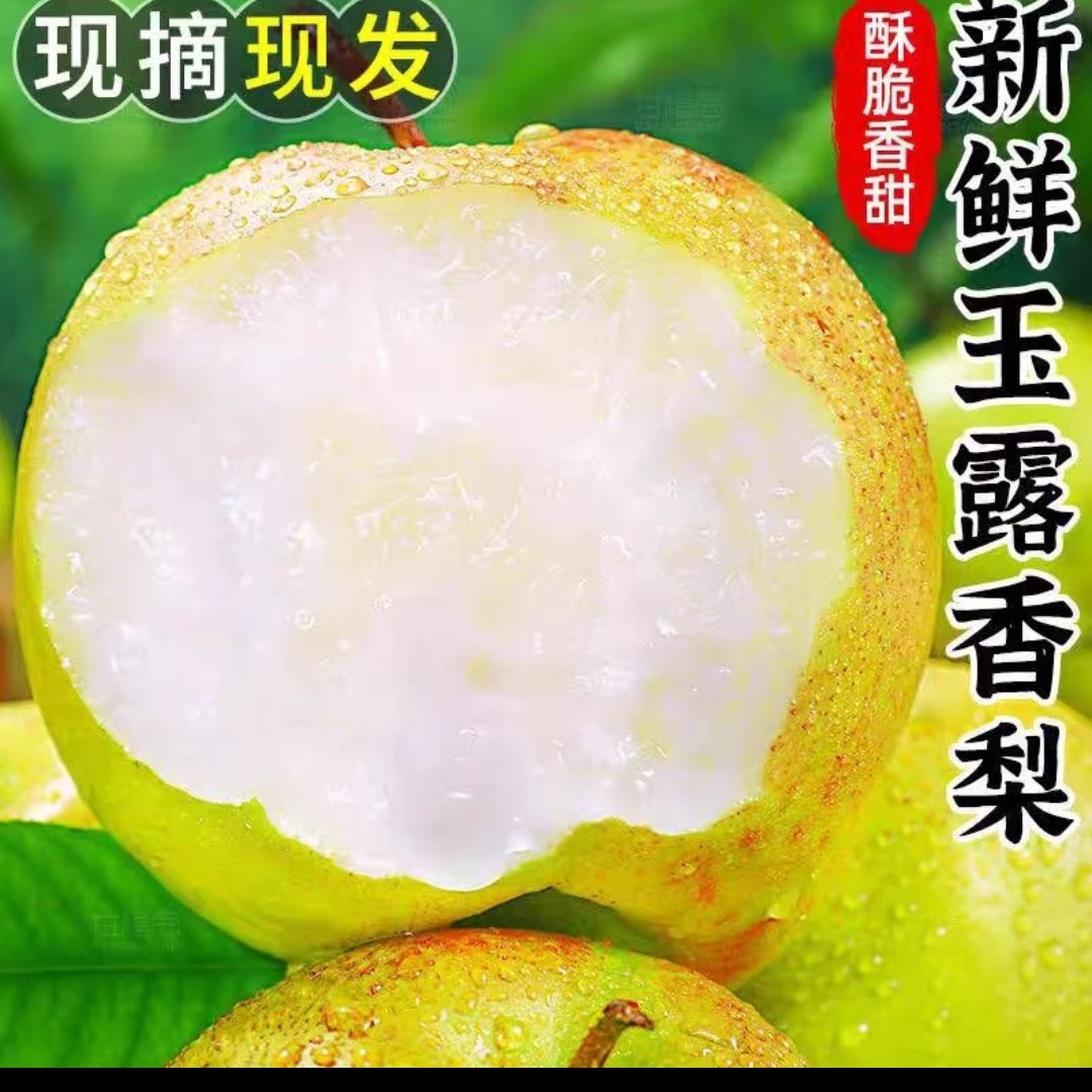 山西正宗玉露香梨新鲜皮薄核小细腻化渣产地直发整箱包邮脆甜多汁