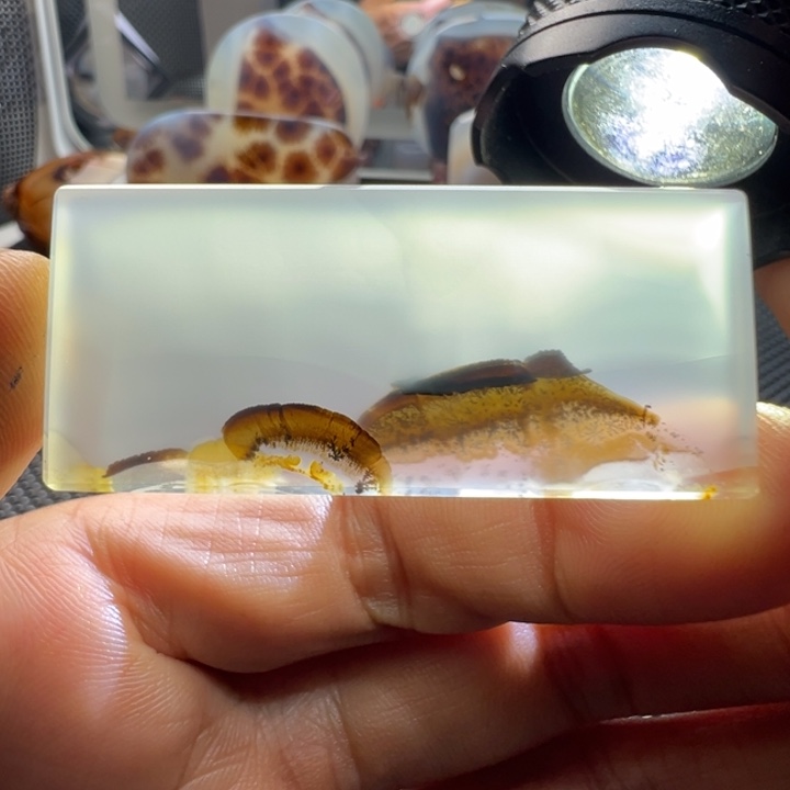 未镶嵌玛瑙/玉髓珠宝奇石