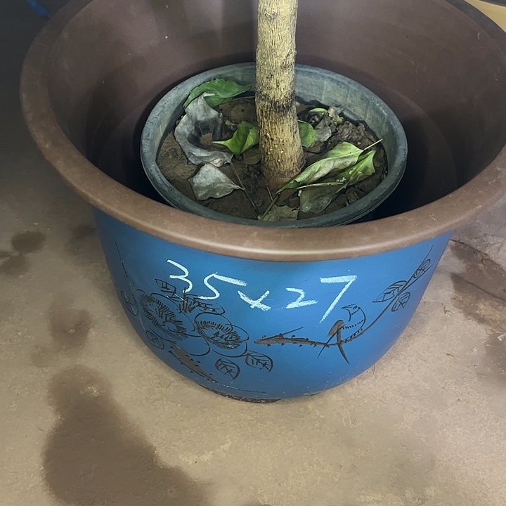 紫砂艺术学院美术