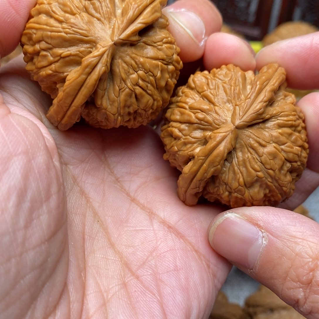 文玩核桃把件观****宴全品毕业白狮子42尺