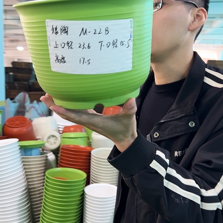 正品矮陶口23.6高17.5果绿无托6只