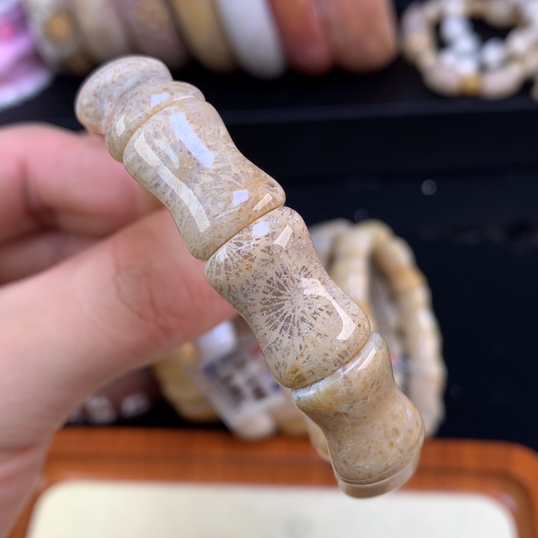 硅化珊瑚（珊瑚玉）未镶嵌颈饰13号大花花