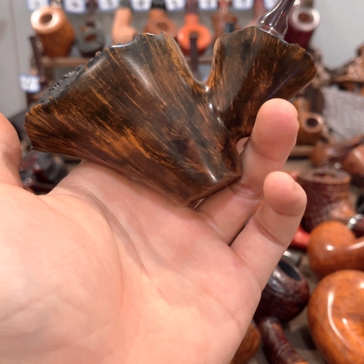 石楠木哈哈哈哈哈哈哈哈回家