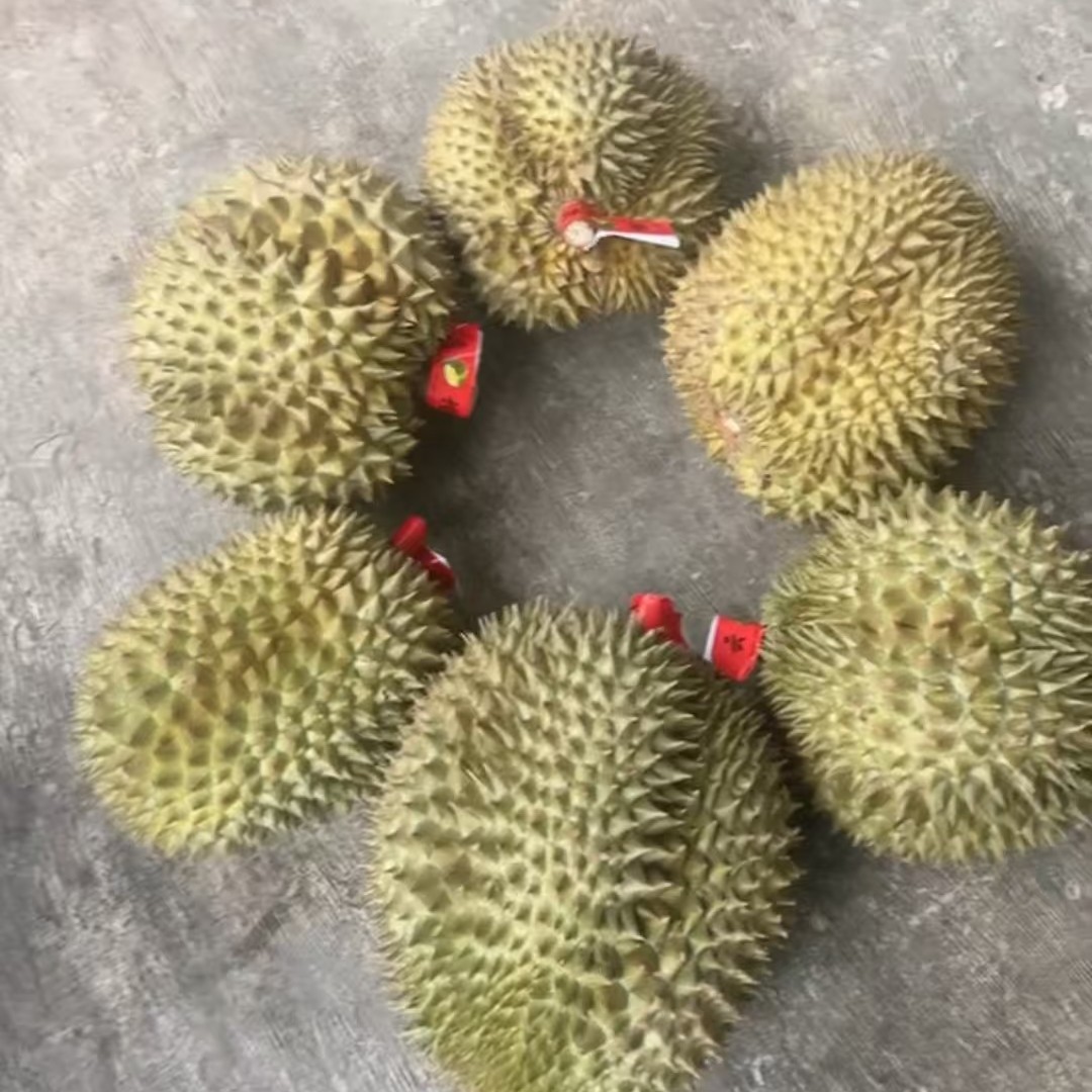 金枕榴莲（整果）树熟金枕榴莲3-9斤  核小新鲜榴莲整果金枕泰国