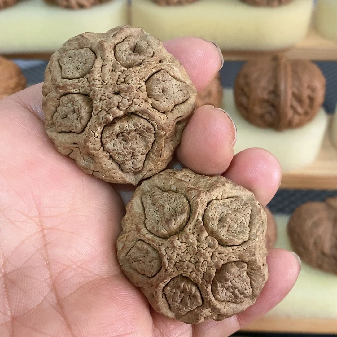 拍吧拍吧拍吧拍也拍吧拍