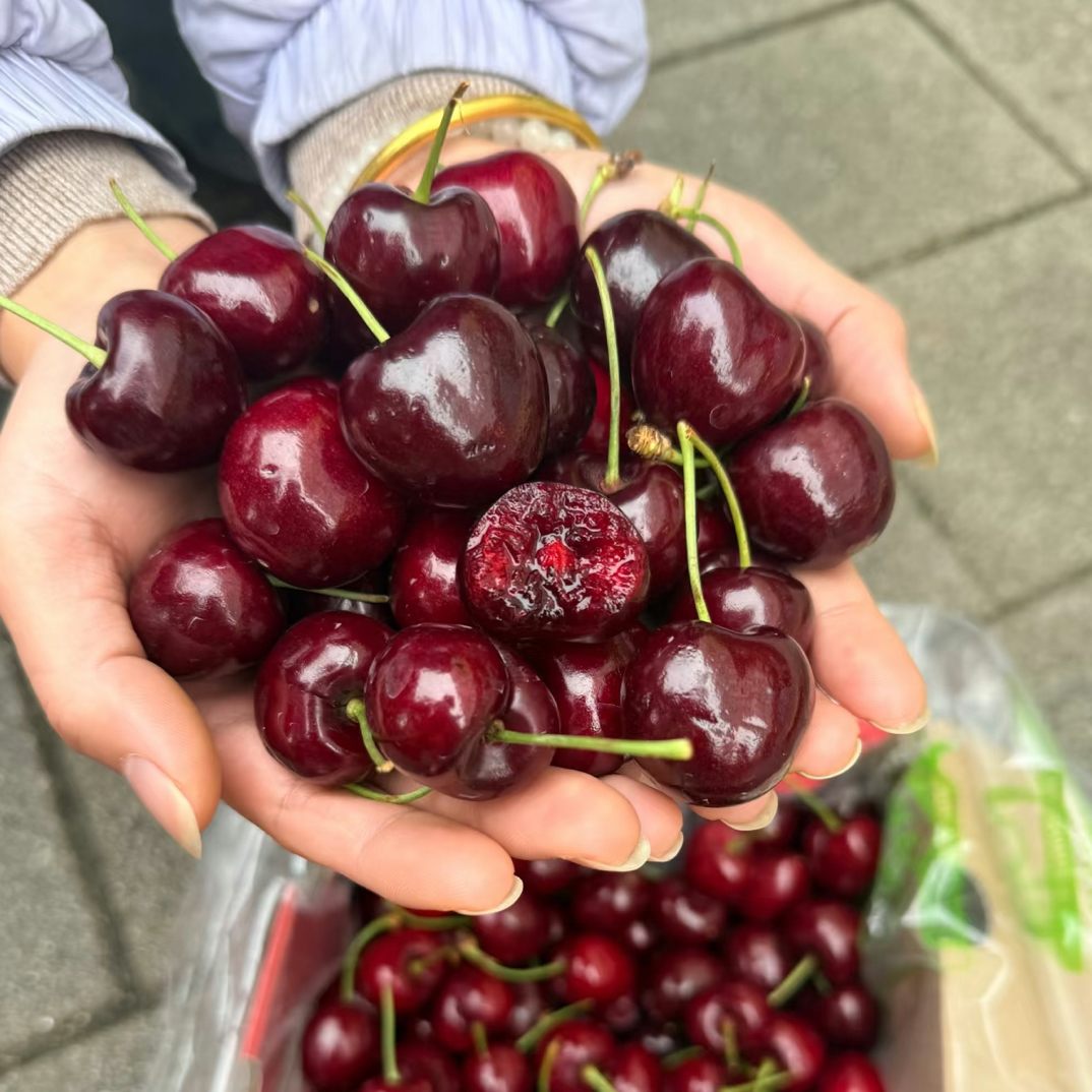 【合江专用】智利海运桑提娜车厘子J-4J（5斤装）智利