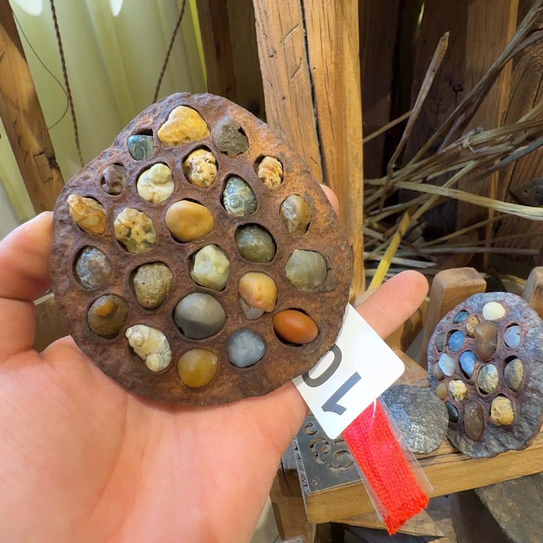 老了就不想了吗我的