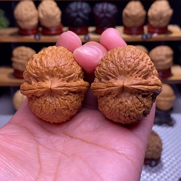 木质类云铁铁狮子90号