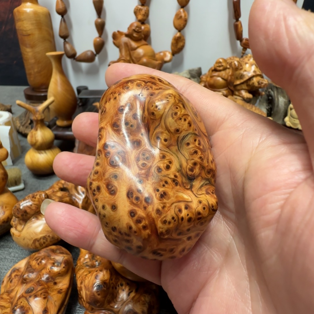 柏木（崖柏）哄*我好的我知道了我知道了