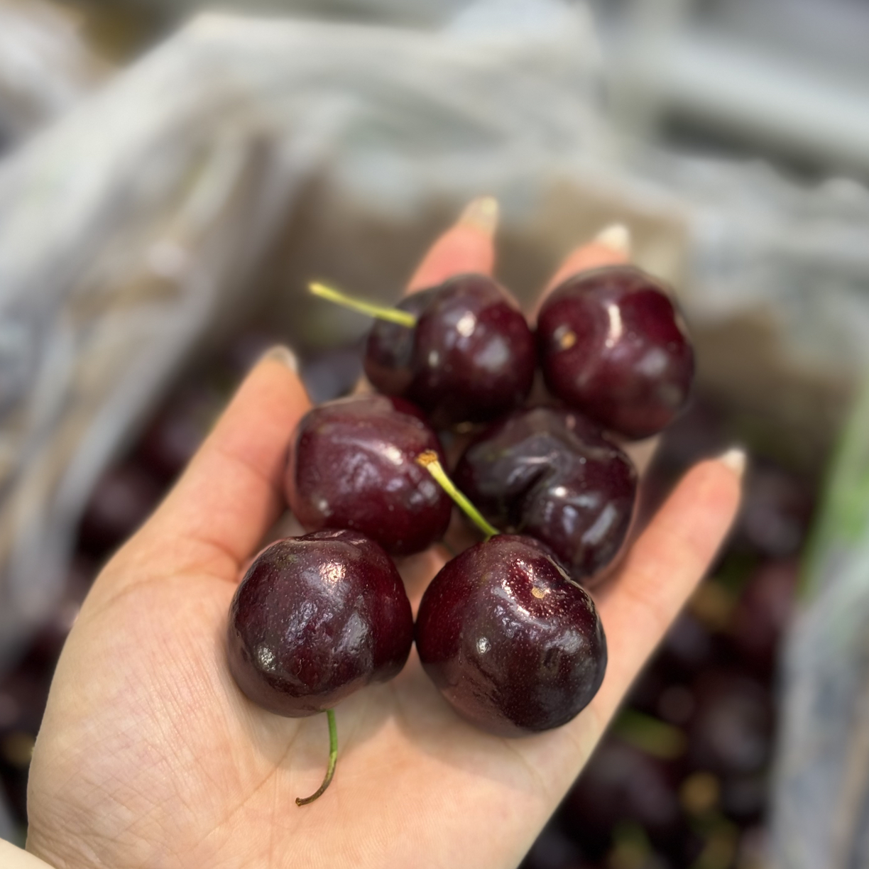 空运3JDD皇家黎明车厘子 1000g内附果径卡皇家黎明阿根廷