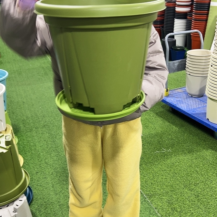 清仓青山口40高34果绿3只带托