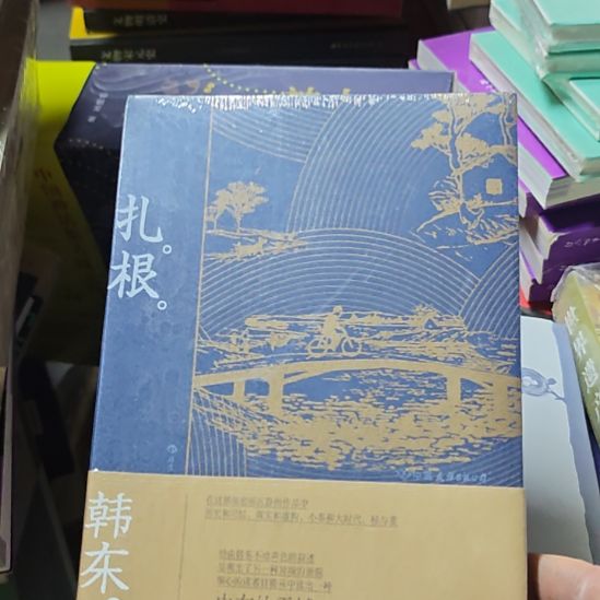 扎根，塑封全新，韩东著作。