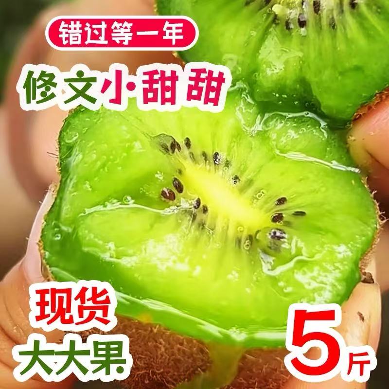 贵州修文县新鲜贵长猕猴桃现摘现发皮薄肉厚甜蜜多汁5斤