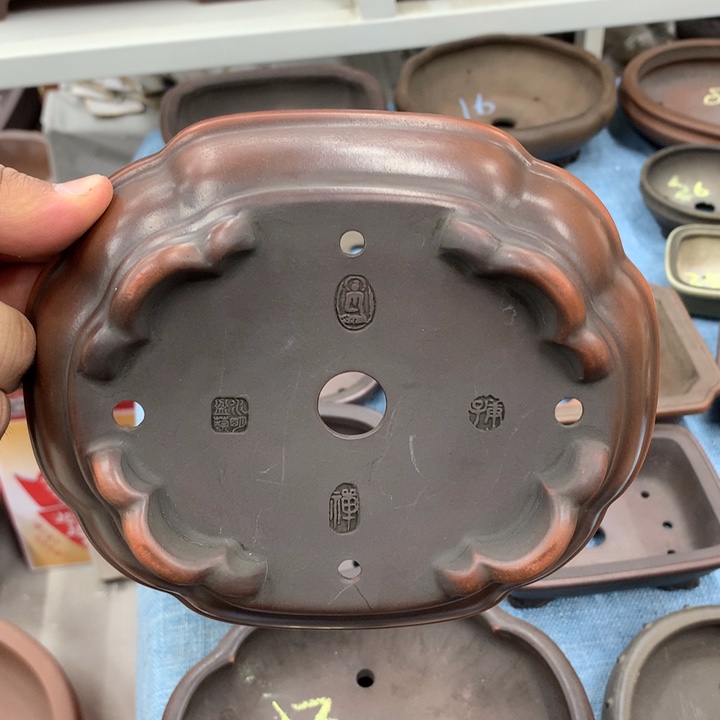 紫砂花盆毛****1紫砂花盆