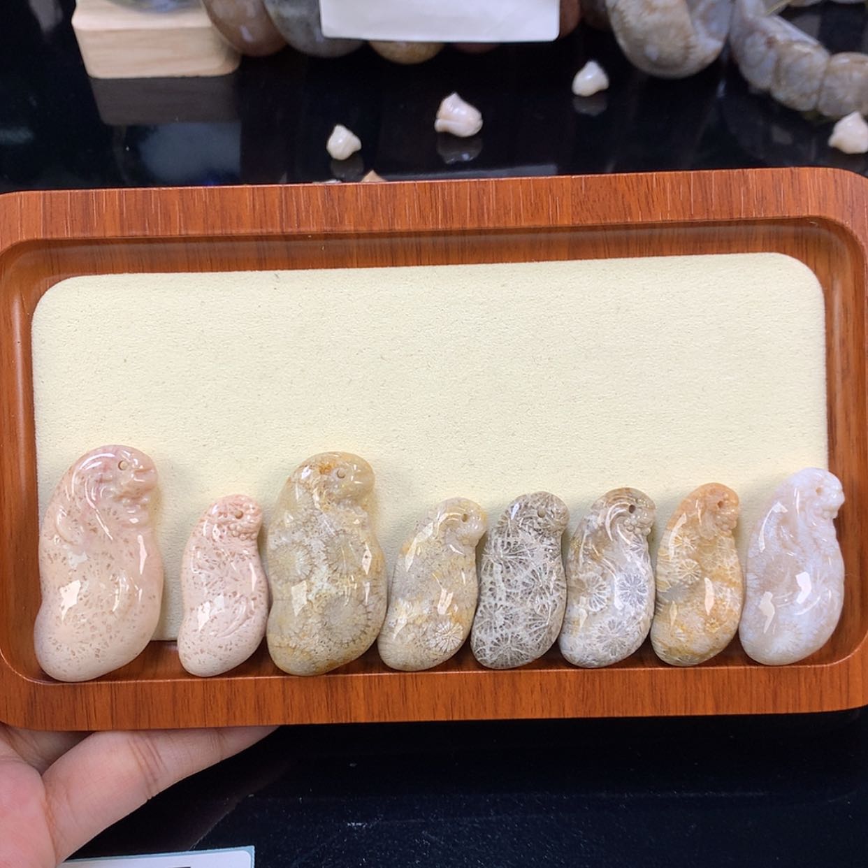 【闪购商品】颈饰未镶嵌硅化珊瑚（珊瑚玉）我***肉