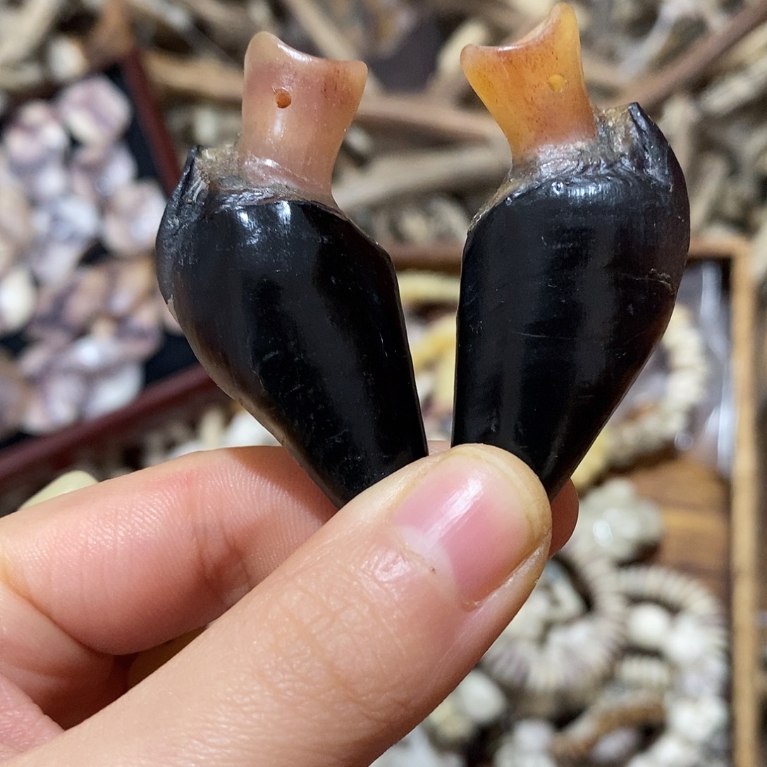 非金属鹿蹄鹿蹄鹿蹄