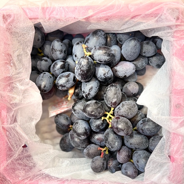 蓝宝石葡萄  筐