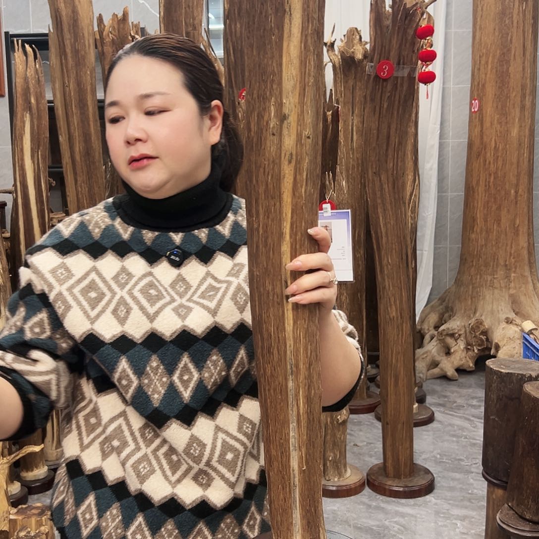 沉香摆件沉香原料摆件工艺品