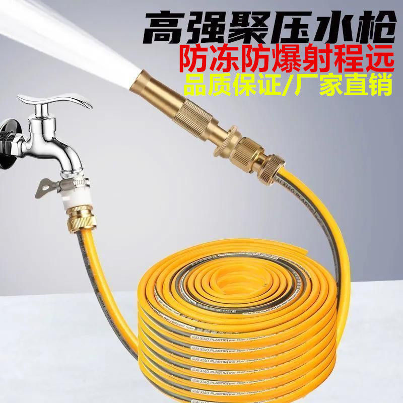 纯铜高压洗车水枪洗车神器家用浇花浇菜冲洗地板洗车用品水枪