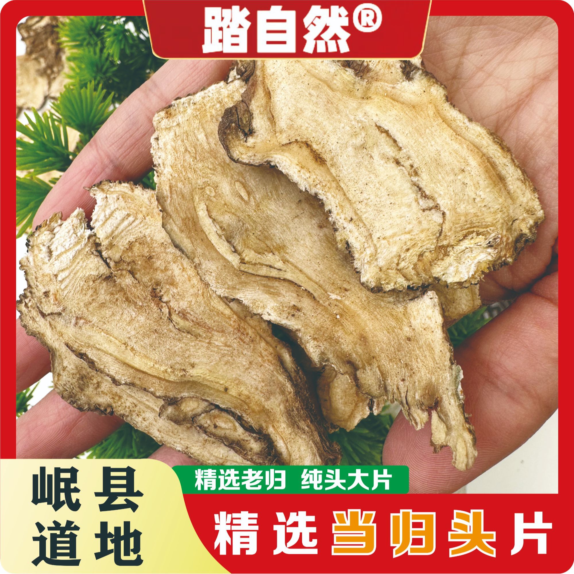 踏自然岷县当归头片甘肃老当归纯头片产地新鲜货