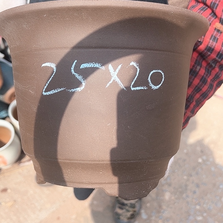 红陶紫砂工艺厂……紫砂工艺厂