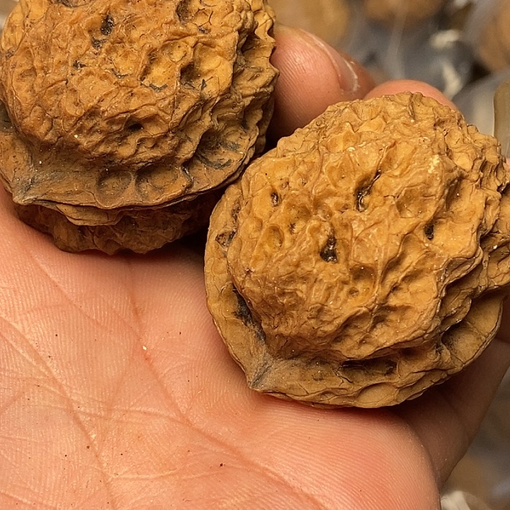 文玩核桃把件云南铁核桃50