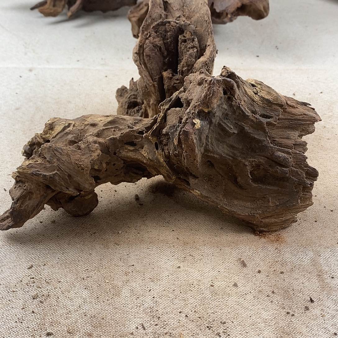 看***远黄花梨/降香黄檀黄花梨随形料子