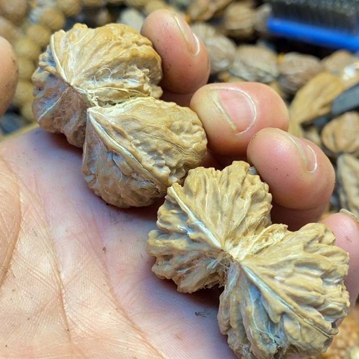 桃核吊坠裂了一只19