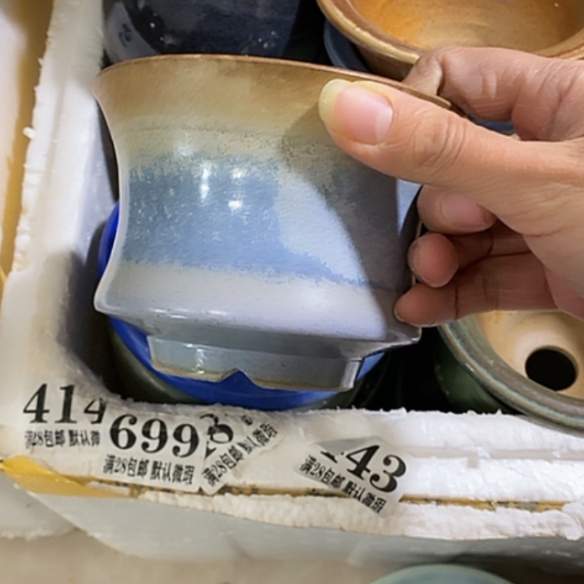 【闪购商品】红陶口11