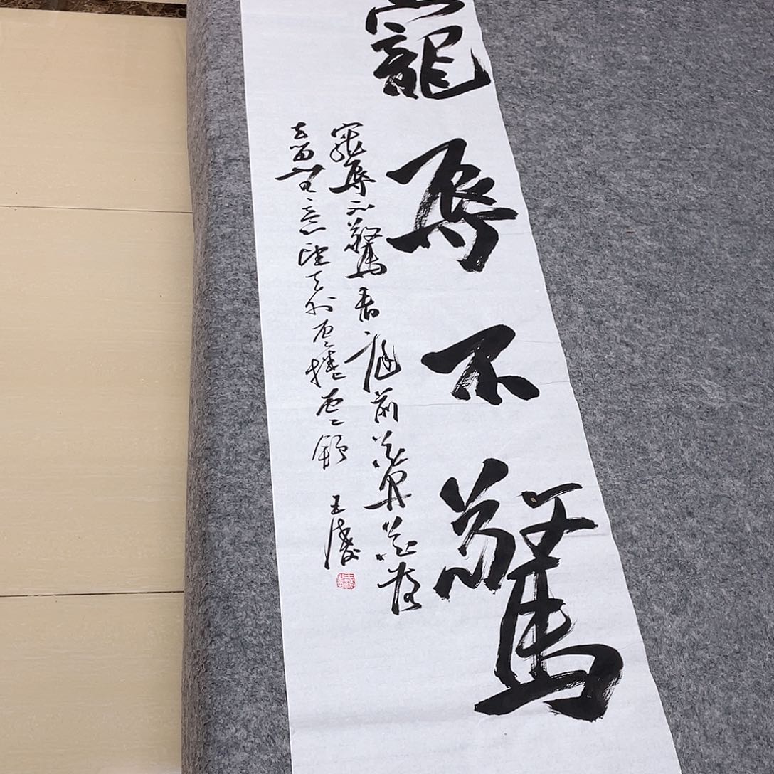 书法中书协会员王涛138×34