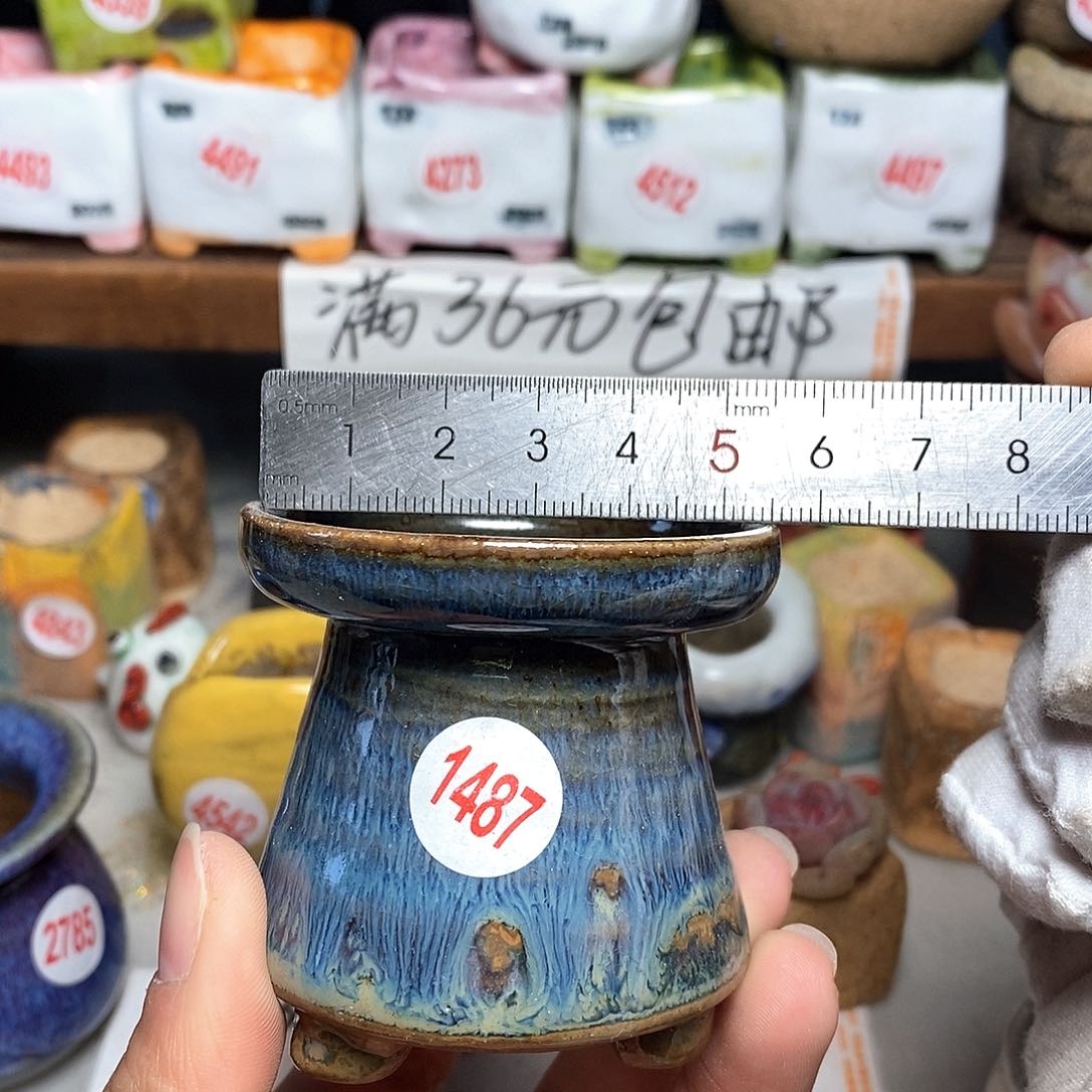 红陶拍5送一个小